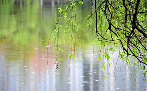 【豐恒達(dá)化工】雨季溫馨小貼士